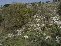 GR, Crete, Lasithi, Exo Poutami 7, Saxifraga-Willem van Kruijsbergen